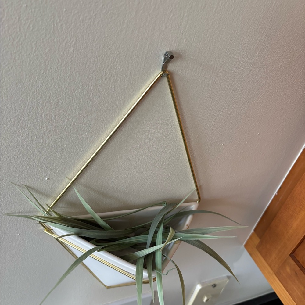 White and Gold Hanging Plant holder - Picture 3 of 3